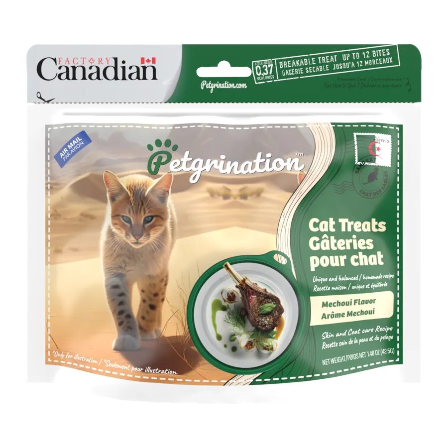 Petgrination Algérie — Chat