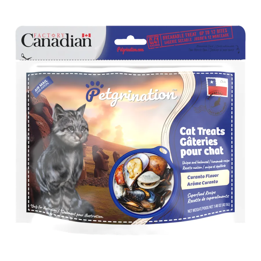 Petgrination Chile — Cat