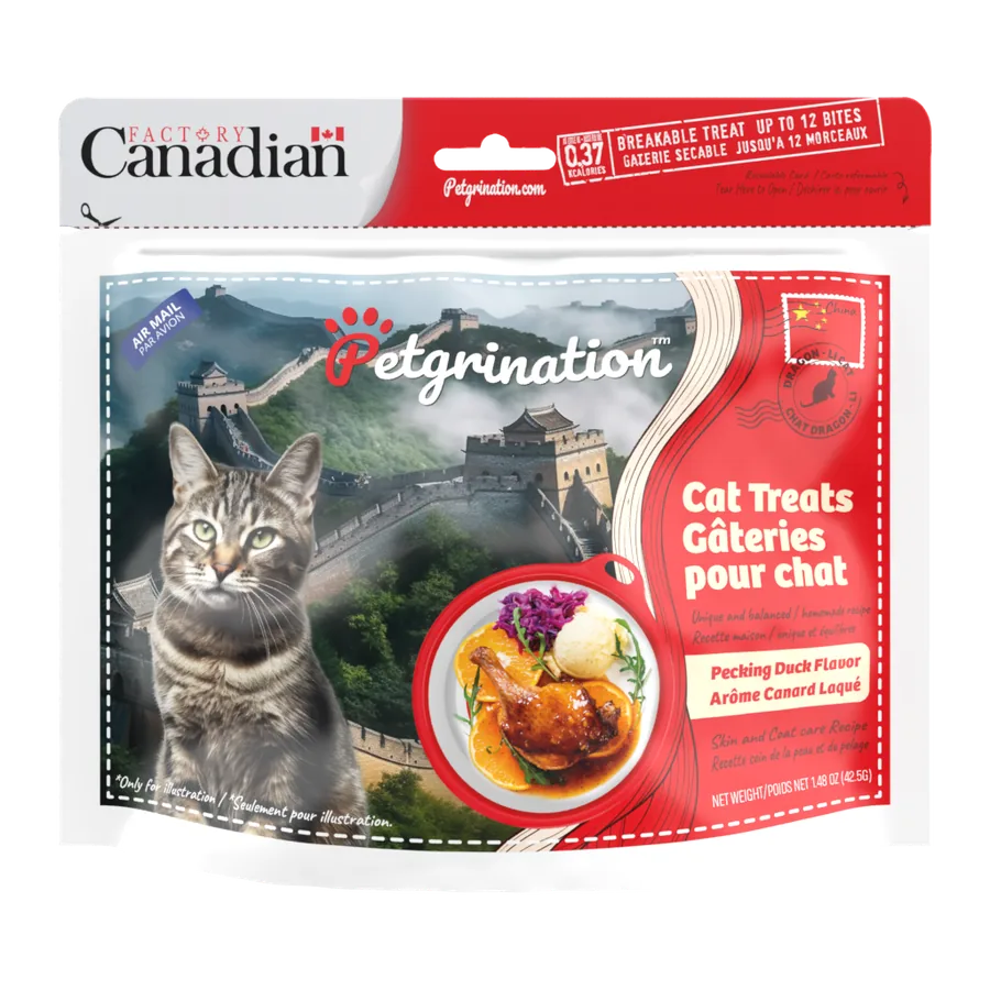 Petgrination Chine — Chat