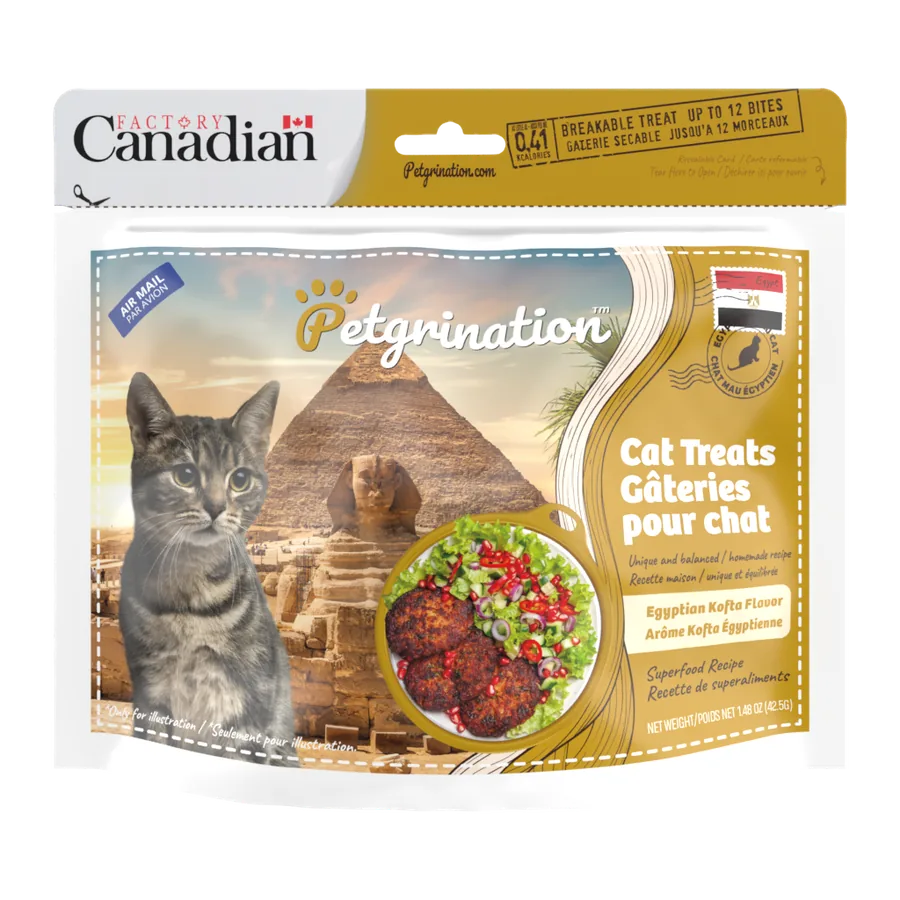 Petgrination Egypt — Cat