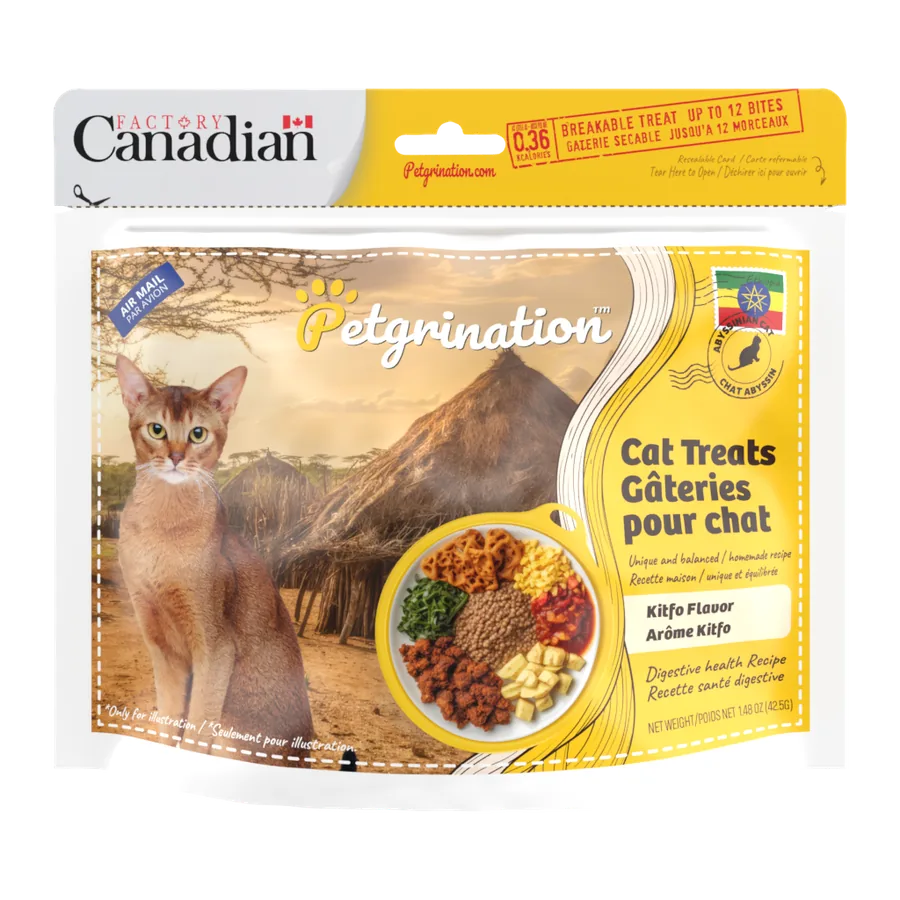 Petgrination Ethiopia — Cat
