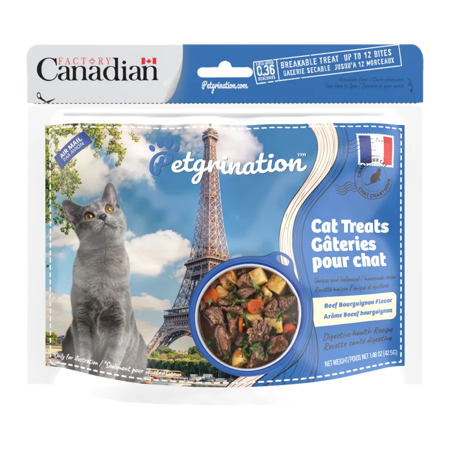 Petgrination France — Cat