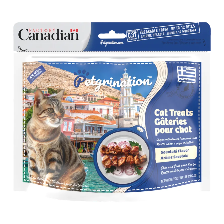 Petgrination Grèce — Chat