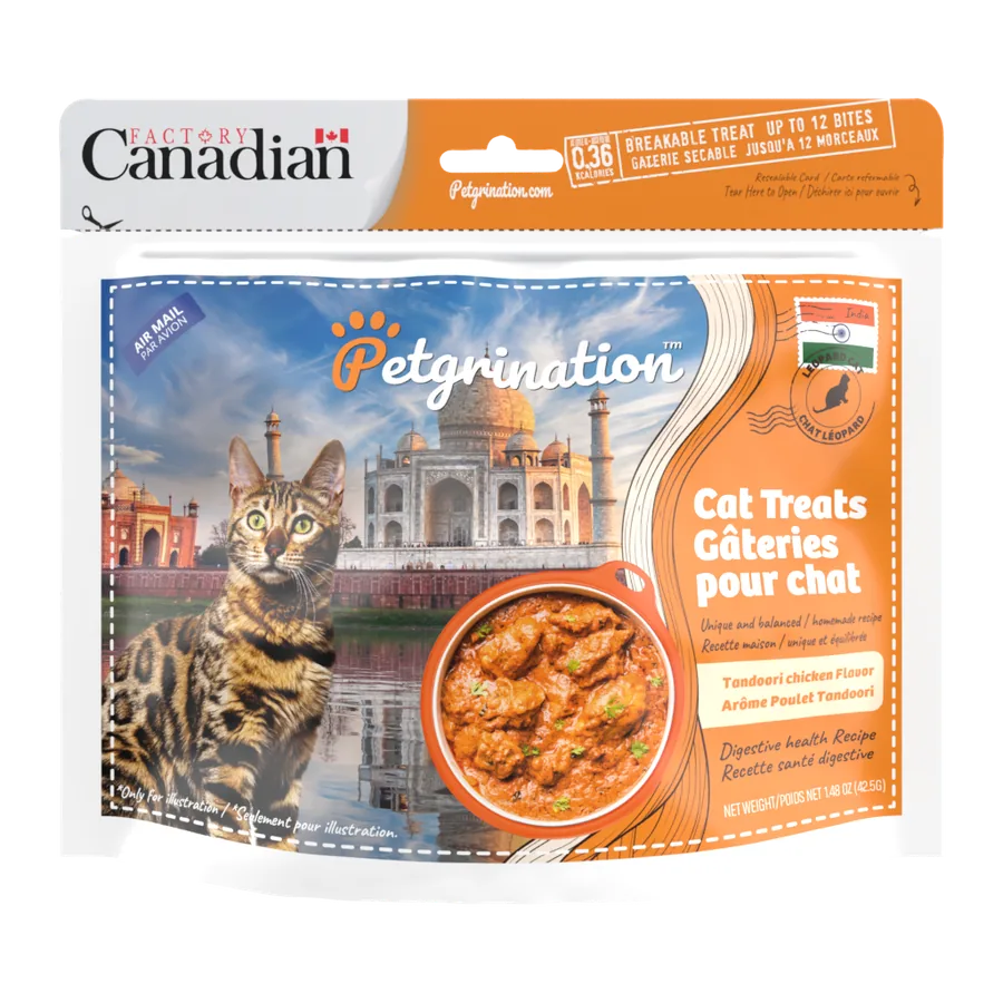 Petgrination India — Cat