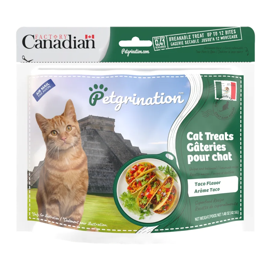Petgrination Mexico — Cat