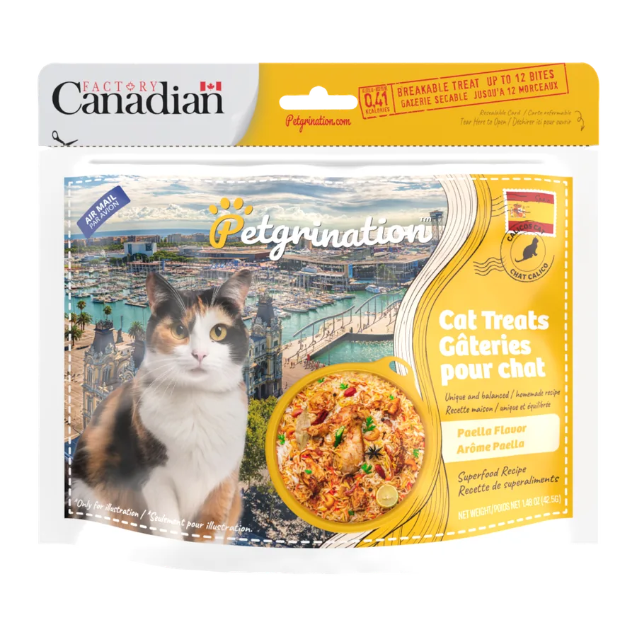 Spain — Cat