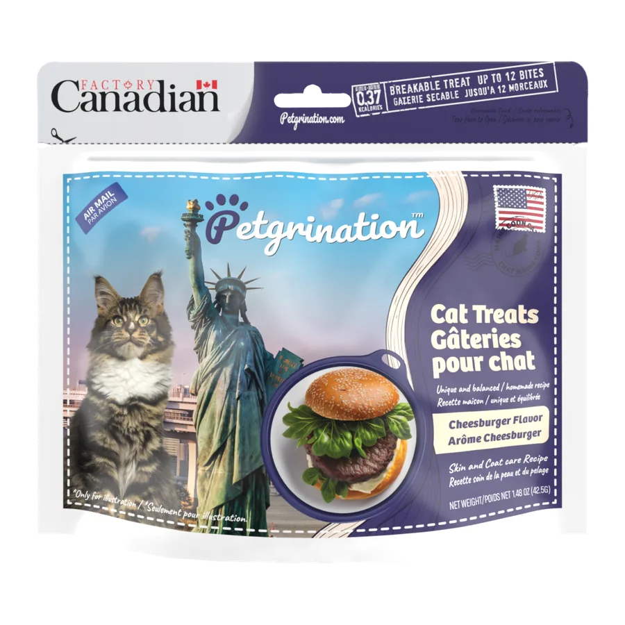 Petgrination États-Unis — Chat