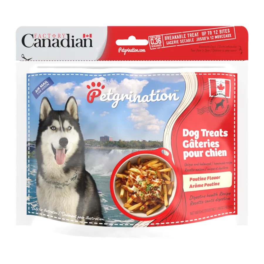 Petgrination Canada — Dog