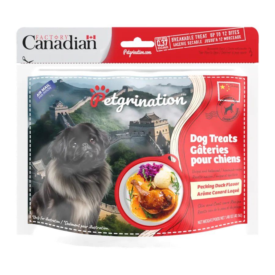 Petgrination China — Dog
