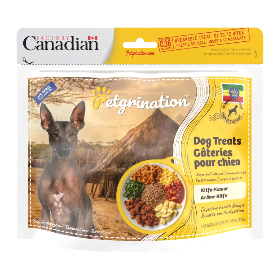 Petgrination Ethiopia — Dog