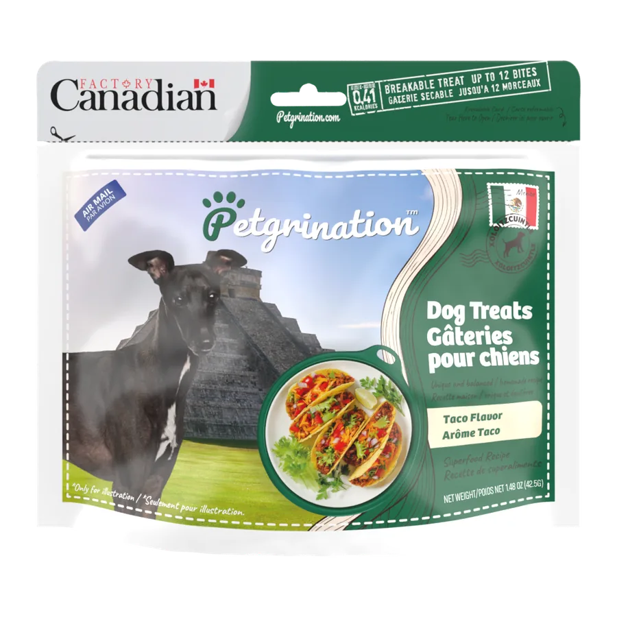 Petgrination Mexique — Chien