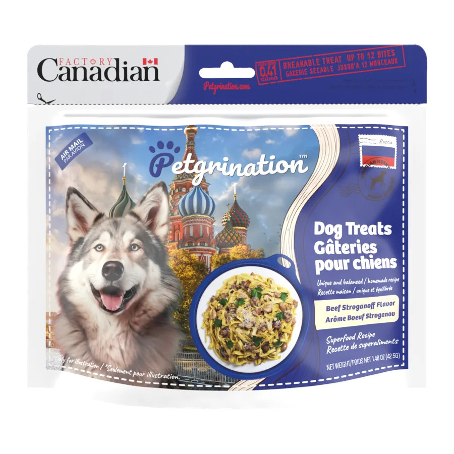 Petgrination Russie — Chien
