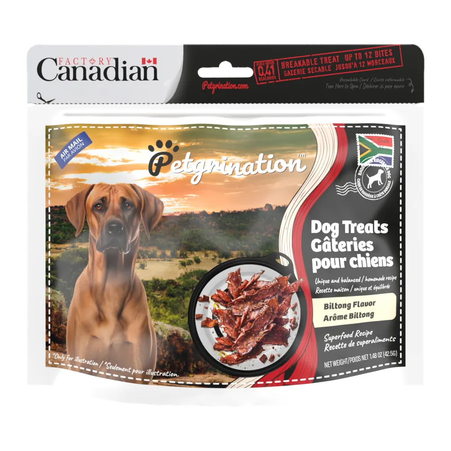 Petgrination Afrique du Sud — Chien