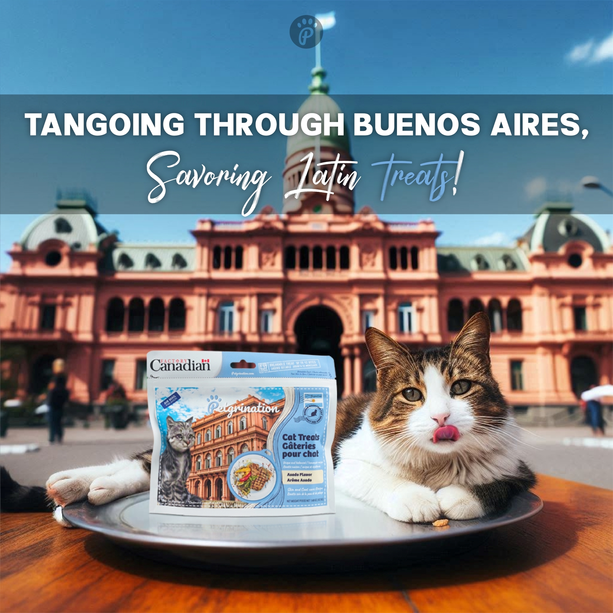 Crunchy Cat Treats Skin & Coat Care Recipe, Argentinian Asado Flavor, 1.48 oz (Pack of 1)