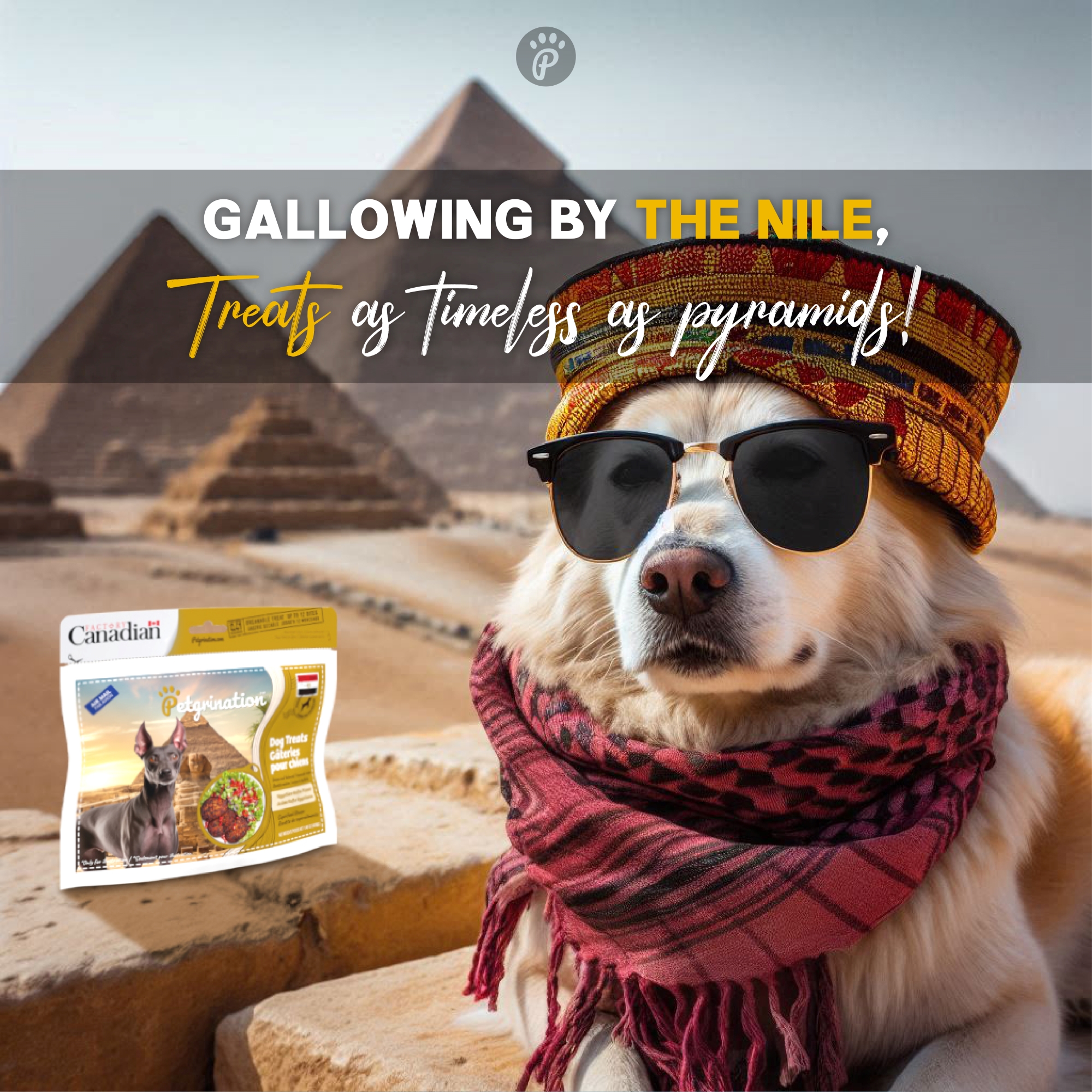 Crunchy Dog Treats Superfood Recipe, Egyptian Kofta Flavor, 1.48 oz (Pack of 1)