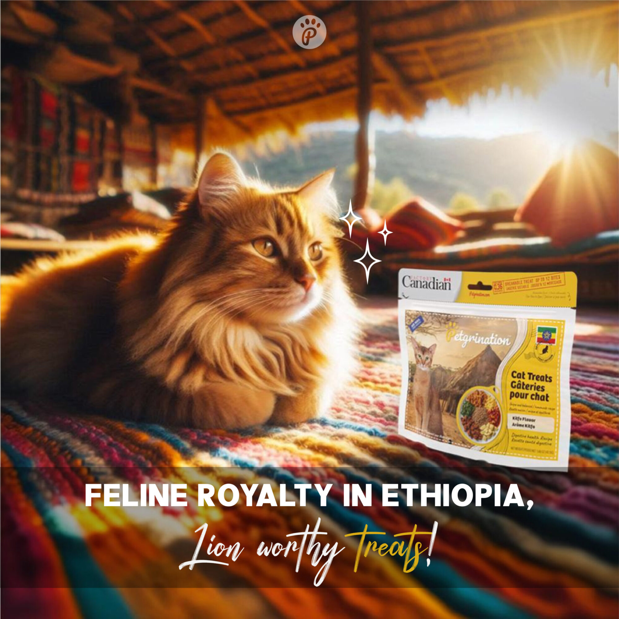 Crunchy Cat Treats Digestive Health Recipe, Ethiopian Kitfo Flavor, 1.48 oz (Pack of 1)