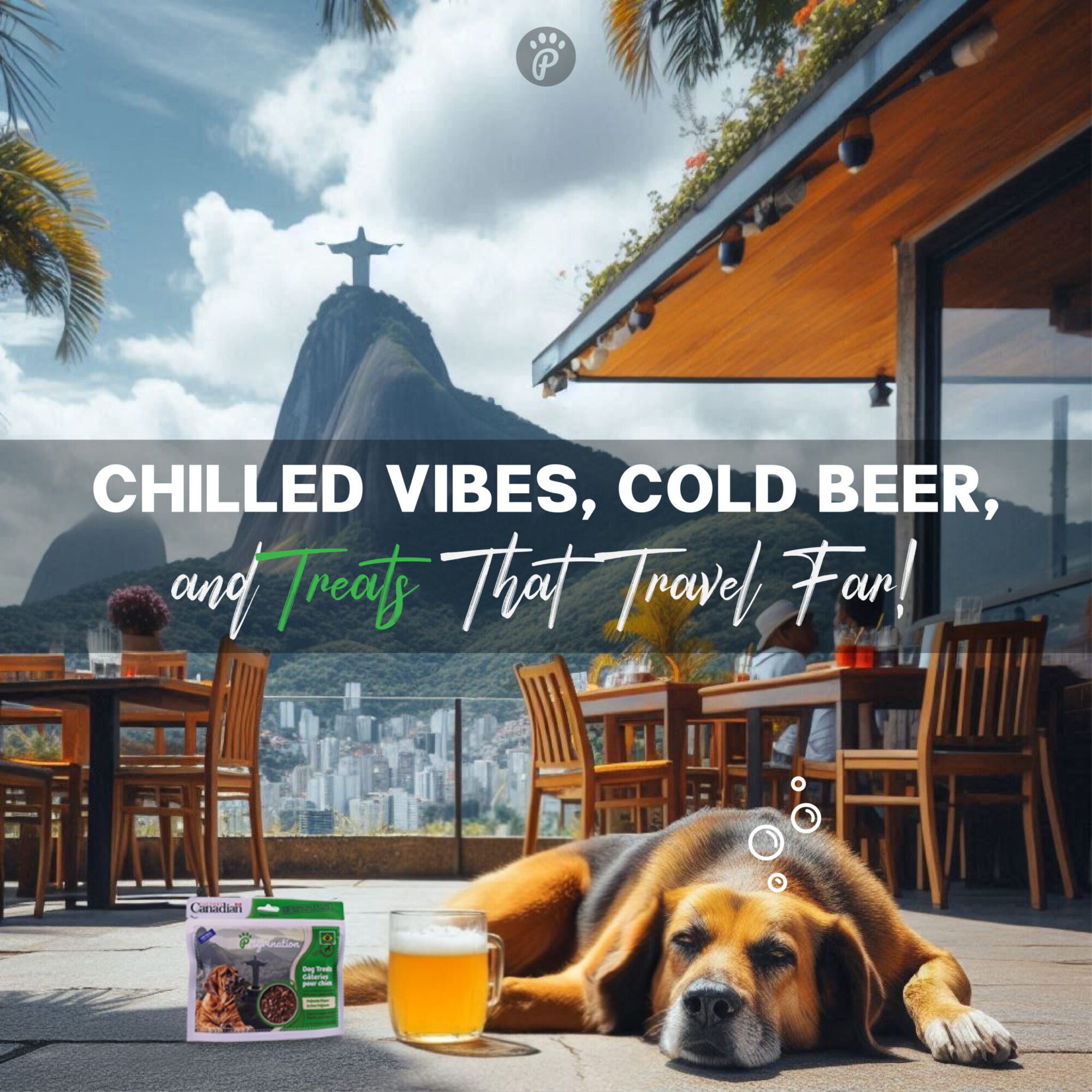 Crunchy Dog Treats Digestive Health Recipe, Brazilian Feijoada Flavor, 1.48 oz (Pack of 1)