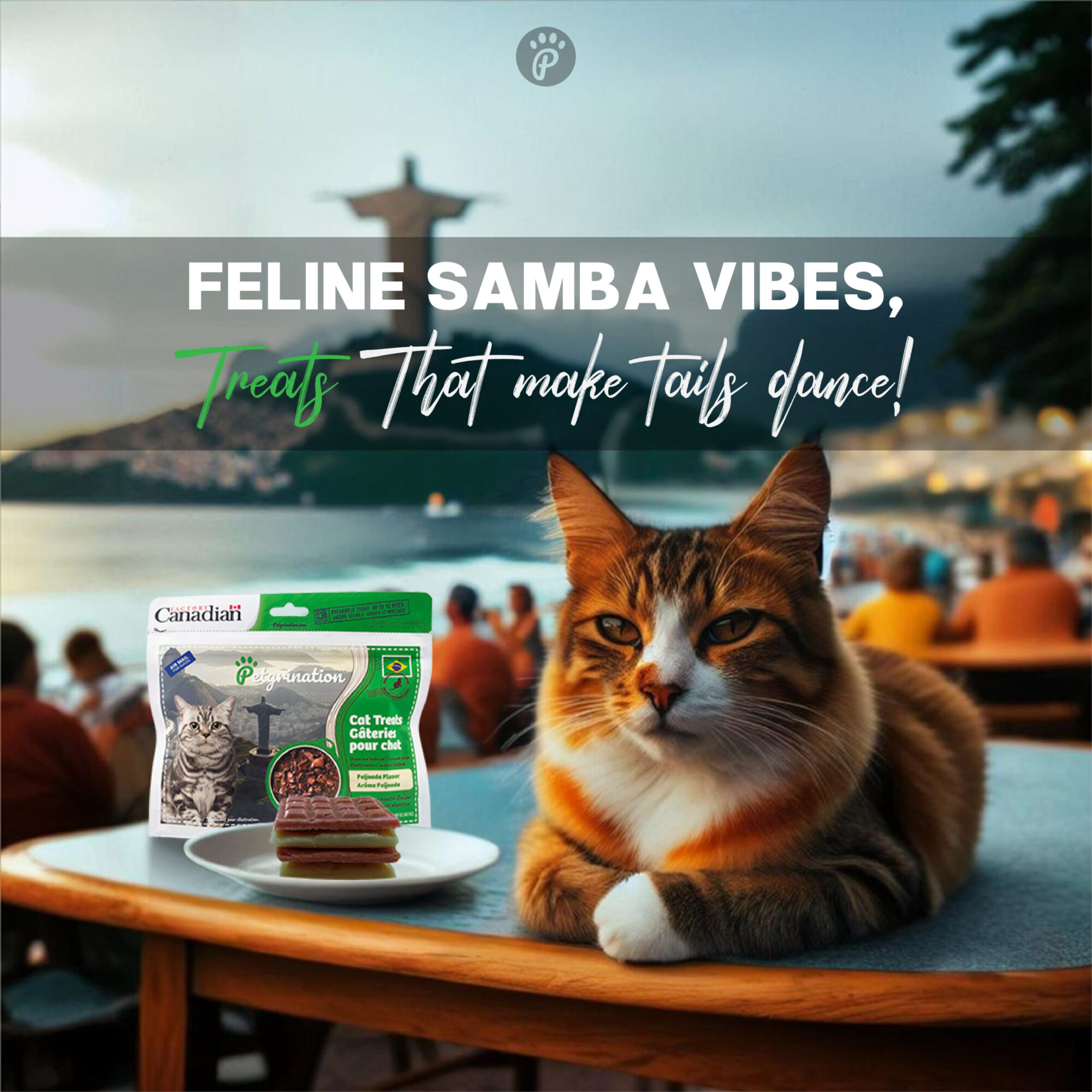 Crunchy Cat Treats Digestive Health Recipe, Brazilian Feijoada Flavor, 1.48 oz (Pack of 1)