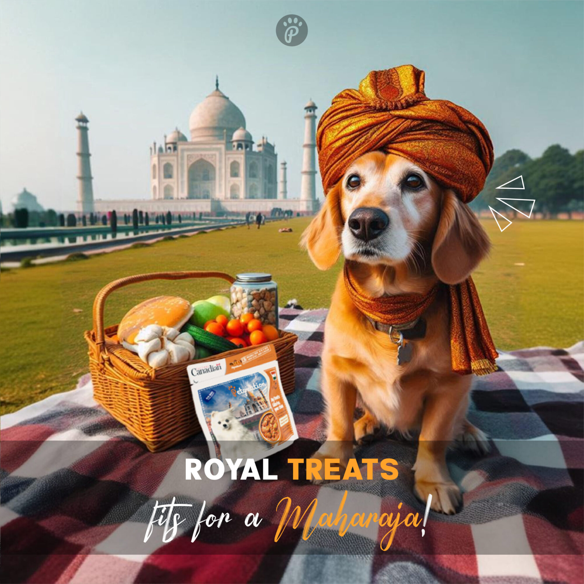 Crunchy Dog Treats Digestive Health Recipe, Indian Tandoori Chicken Flavor, 1.48 oz (Pack of 1)