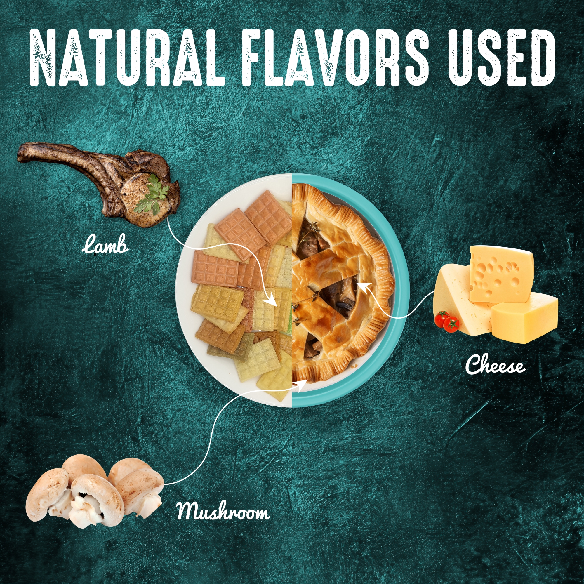 Crunchy Cat Treats Digestive Health Recipe, Australian Meat Pie Flavor, 1.48 oz (Pack of 1)