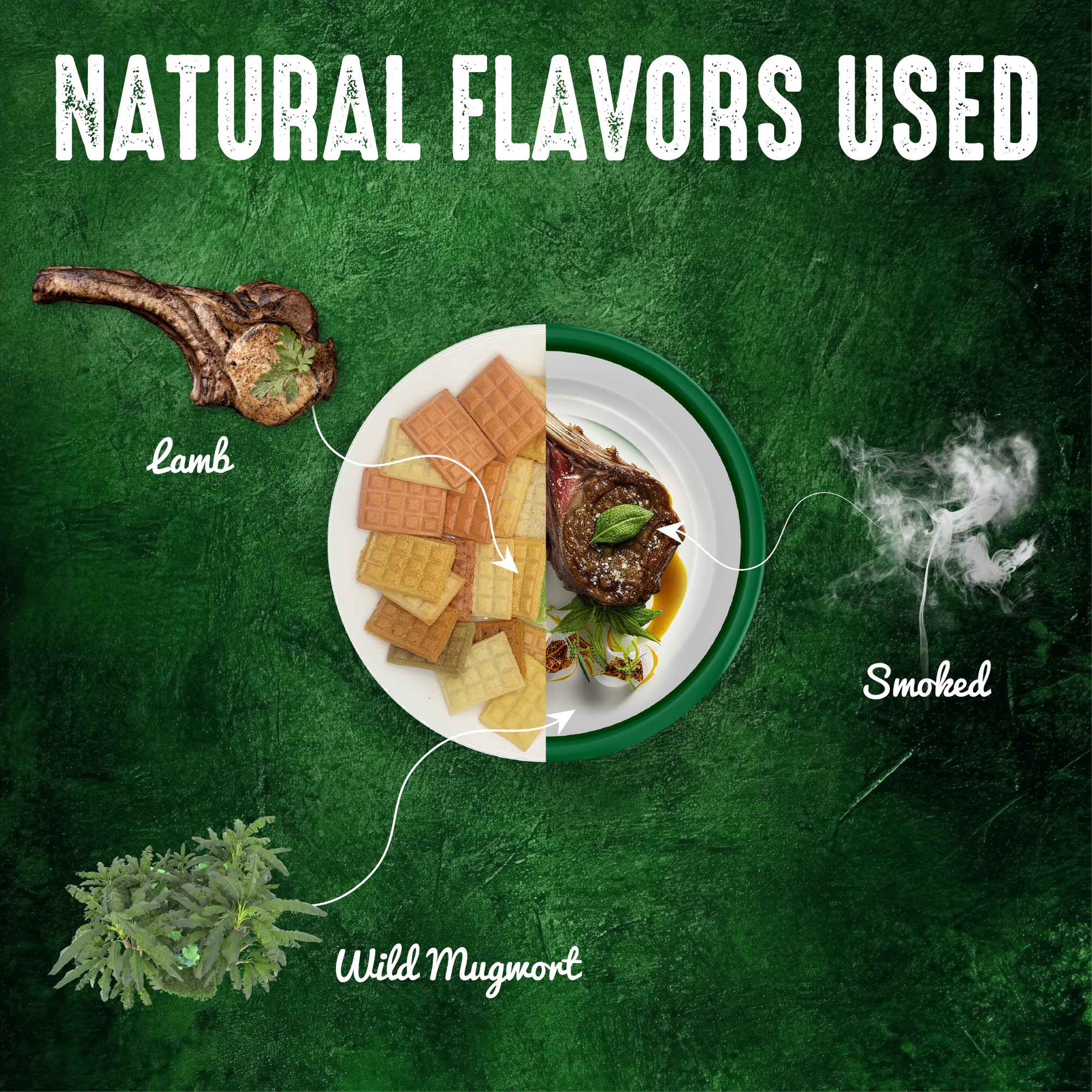 Crunchy Cat Treats Skin & Coat Care Recipe, Algerian Mechoui Flavor, 1.48 oz (Pack of 1)