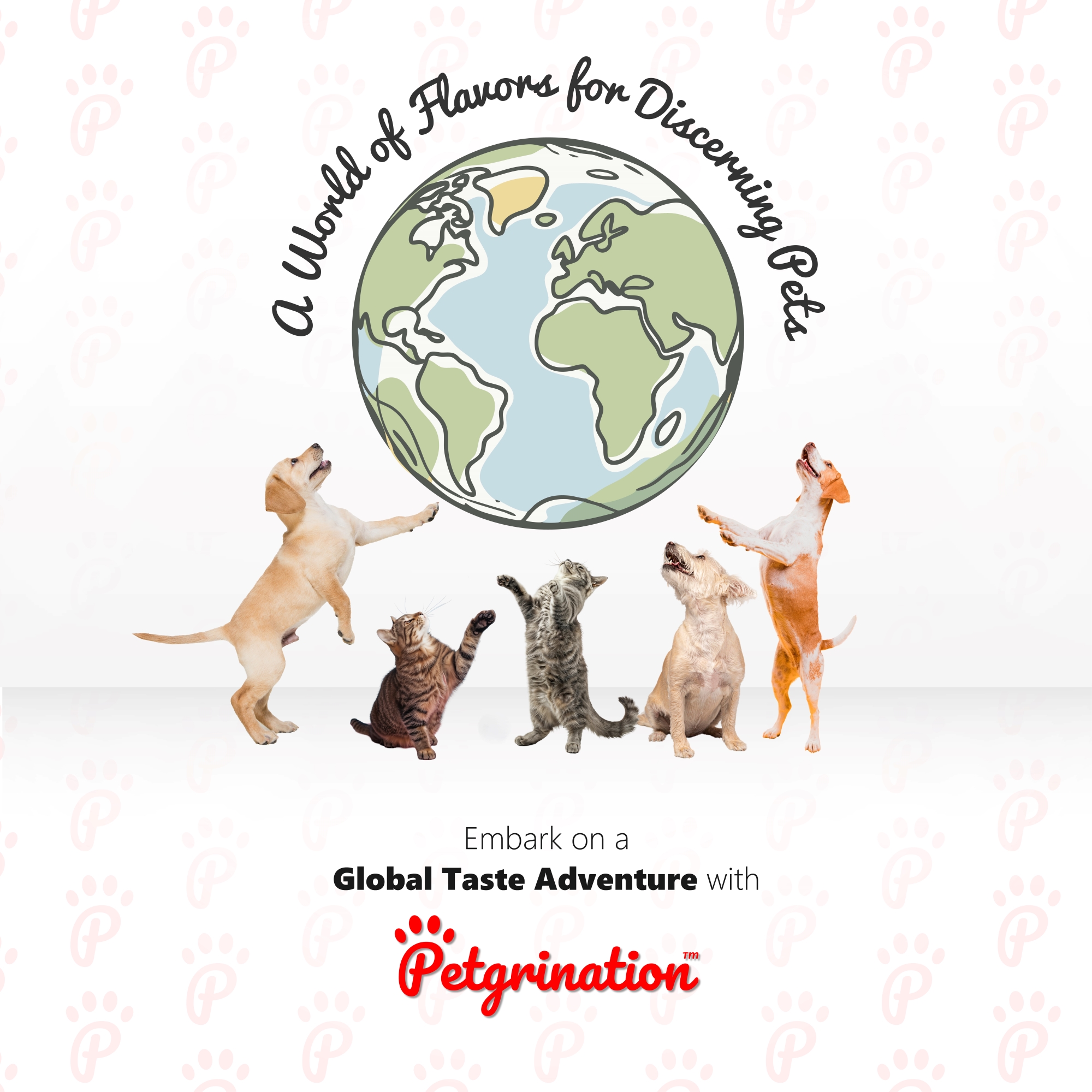 Crunchy Cat Treats Skin & Coat Care Recipe, Argentinian Asado Flavor, 1.48 oz (Pack of 1)