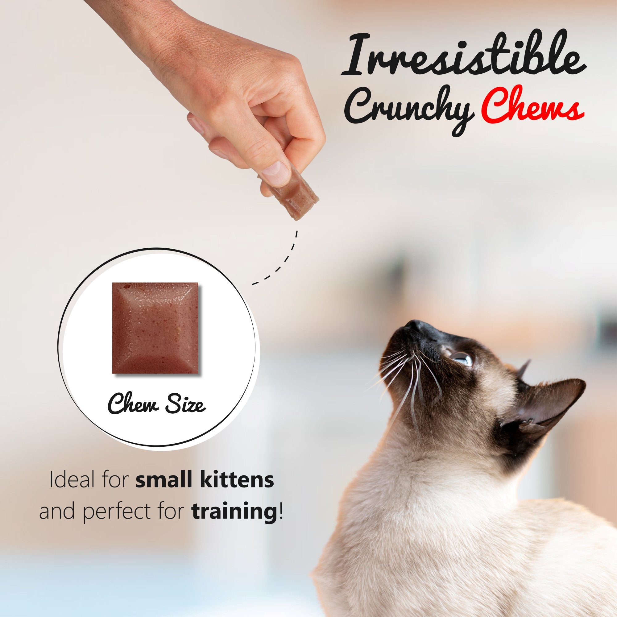 Crunchy Cat Treats Skin & Coat Care Recipe, Argentinian Asado Flavor, 1.48 oz (Pack of 1)