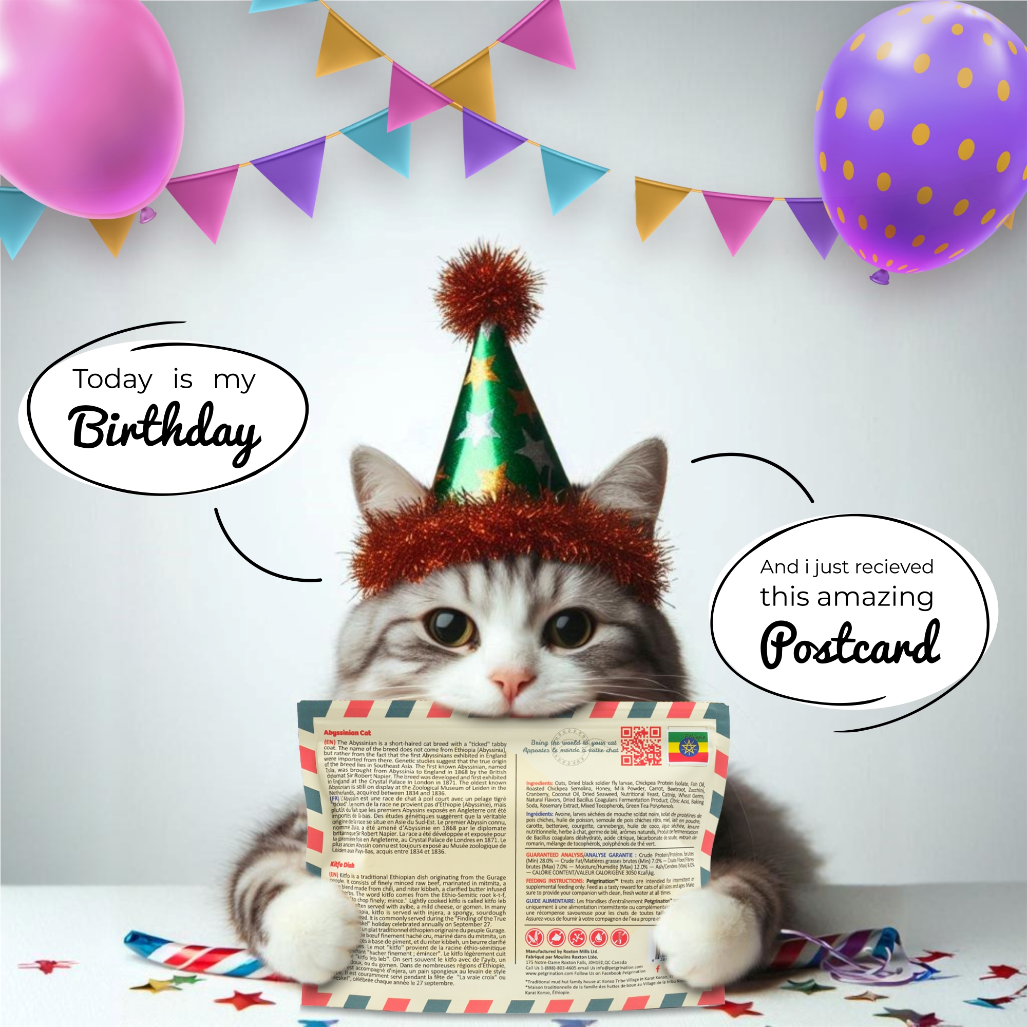 Crunchy Cat Treats Skin & Coat Care Recipe, Argentinian Asado Flavor, 1.48 oz (Pack of 1)