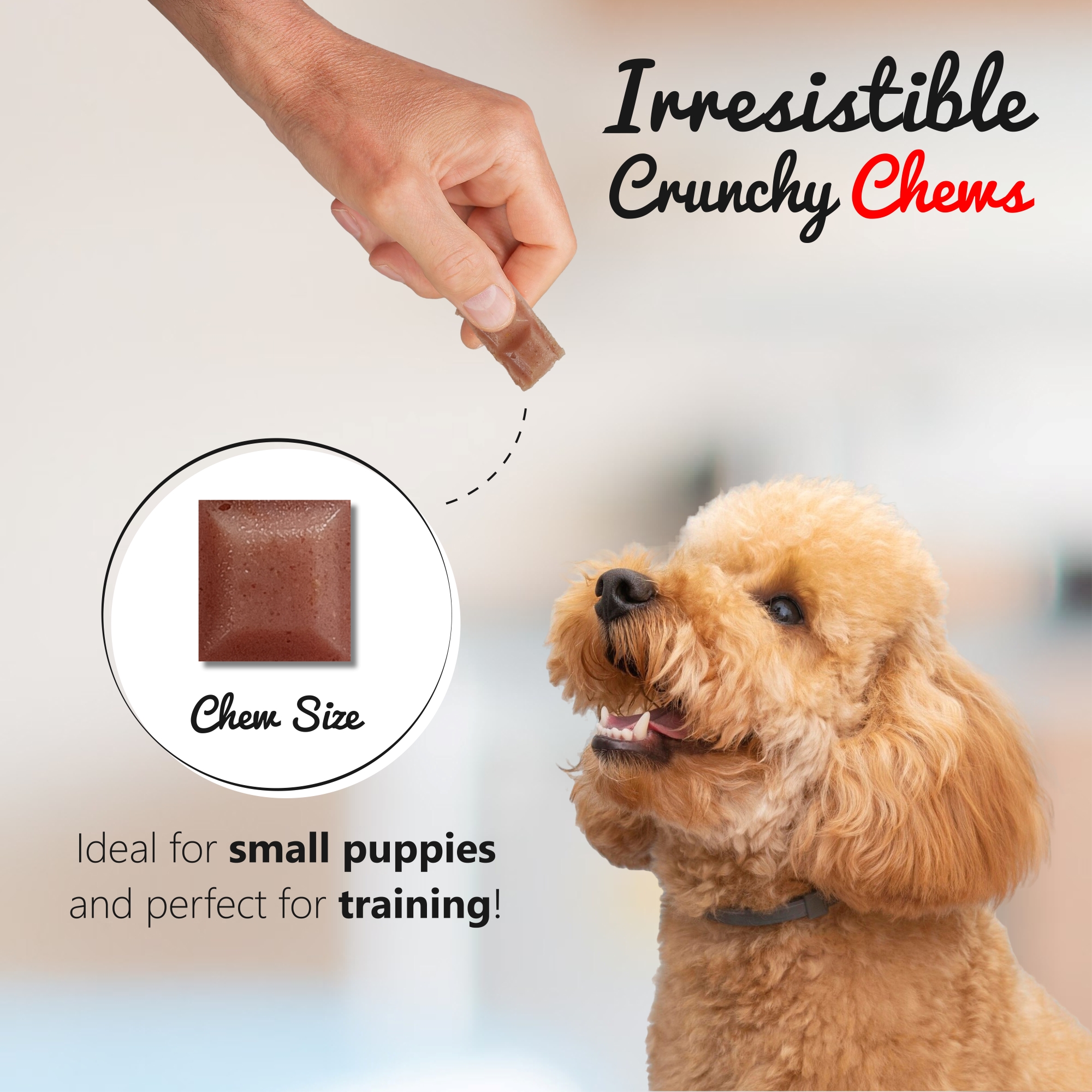 Crunchy Dog Treats Skin & Coat Care Recipe, Algerian Mechoui Flavor, 1.48 oz (Pack of 1)