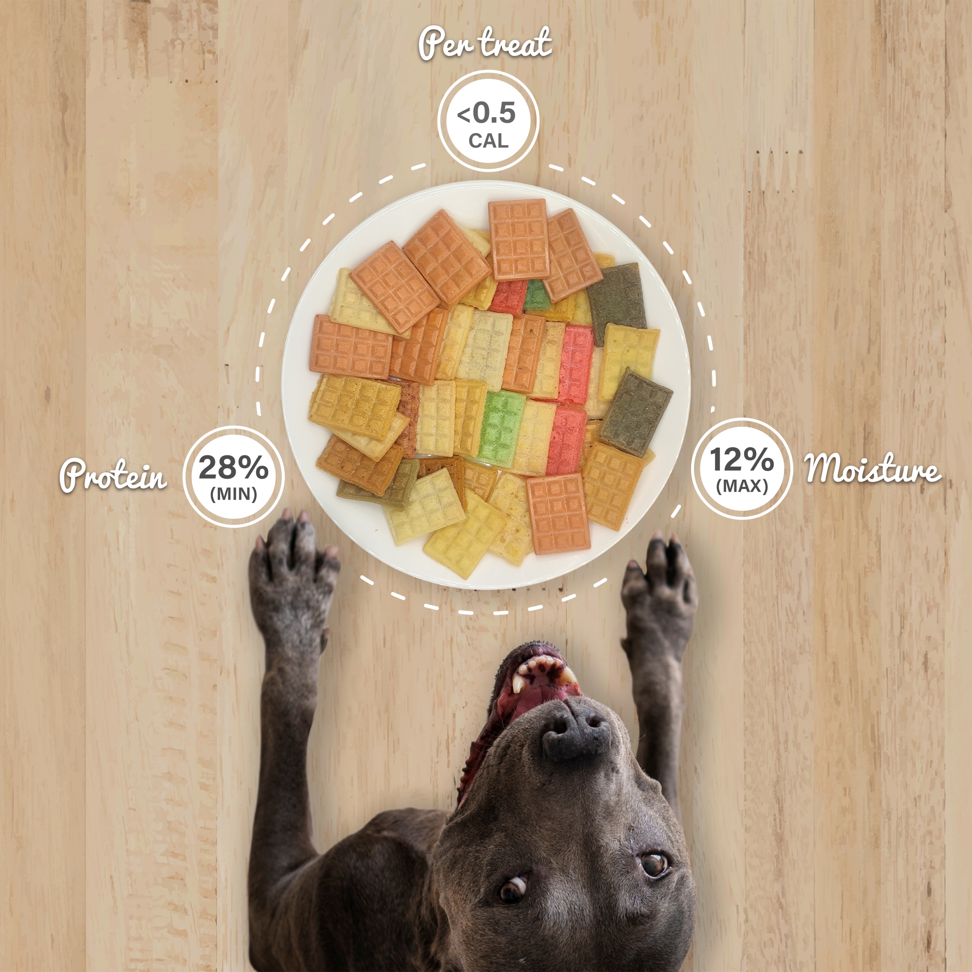 Crunchy Dog Treats Skin & Coat Care Recipe, Algerian Mechoui Flavor, 1.48 oz (Pack of 1)