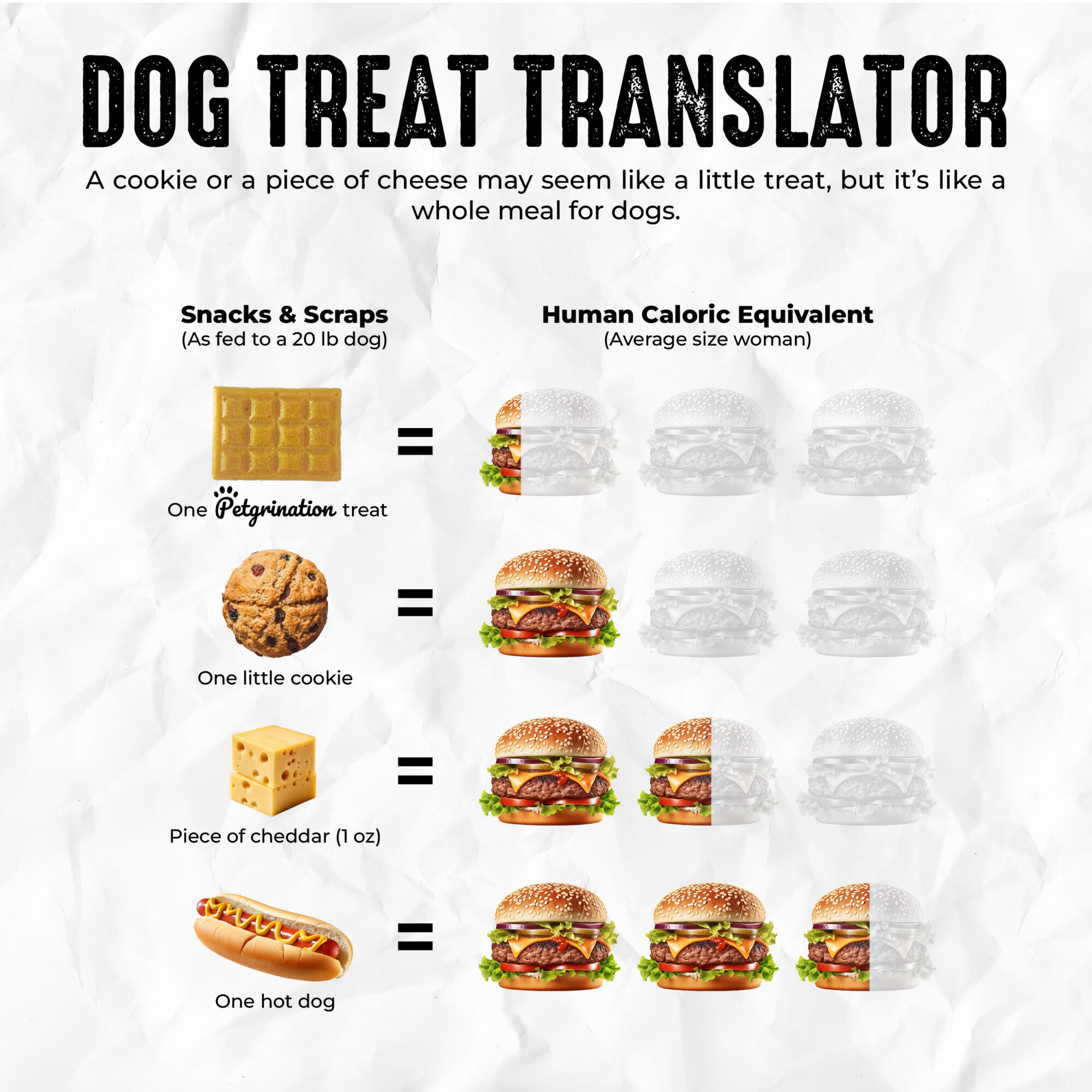 Crunchy Dog Treats Skin & Coat Care Recipe, Algerian Mechoui Flavor, 1.48 oz (Pack of 1)