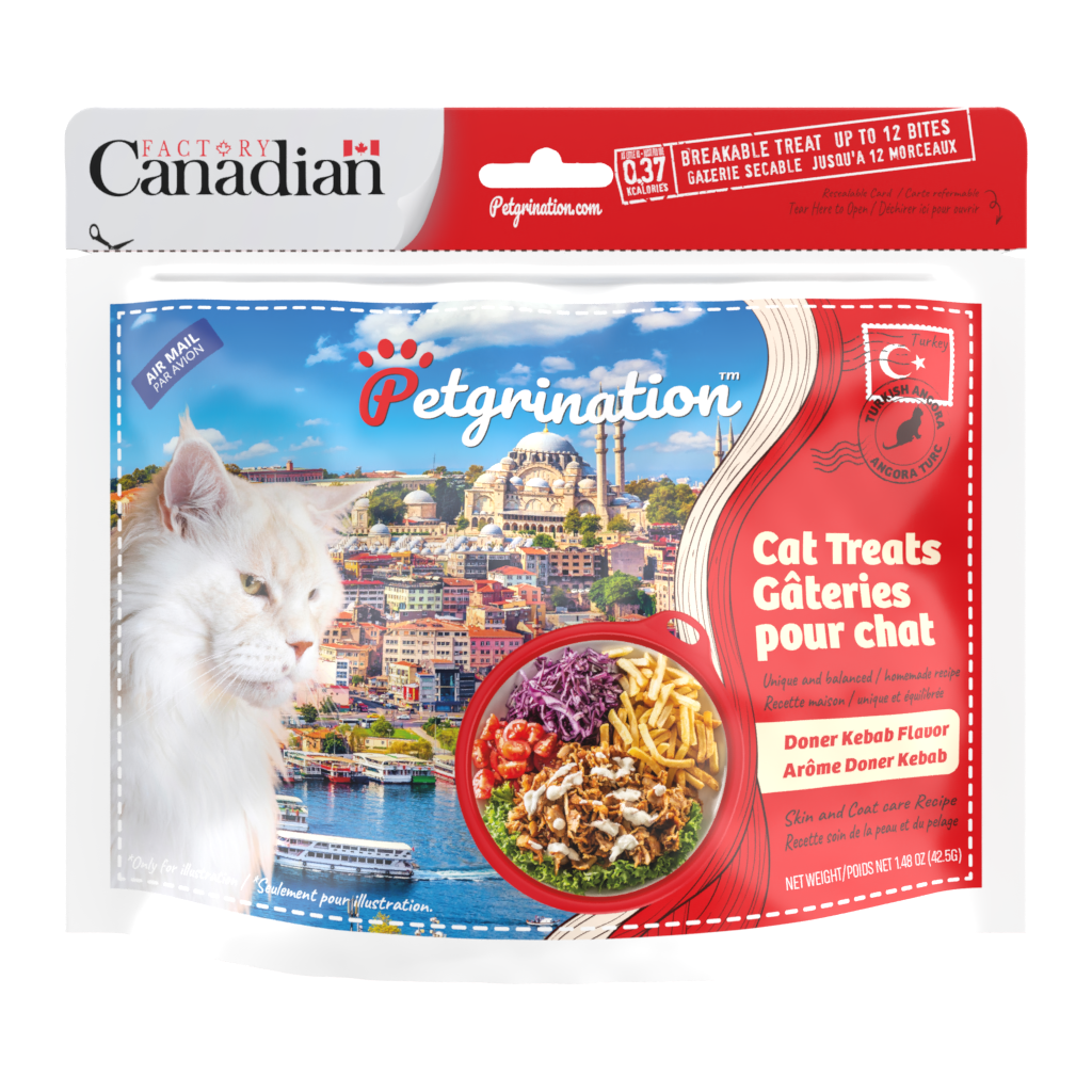 Crunchy Cat Treats Skin & Coat Care Recipe, Turkish Doner Kebab Flavor, 1.48 oz (Pack of 1)