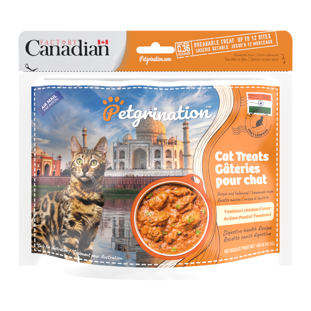 Crunchy Cat Treats Digestive Health Recipe, Indian Tandoori Chicken Flavor, 1.48 oz (Pack of 1)