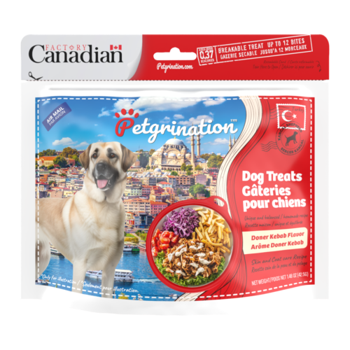 Crunchy Dog Treats Skin & Coat Care Recipe, Turkish Doner Kebab Flavor, 1.48 oz (Pack of 1)