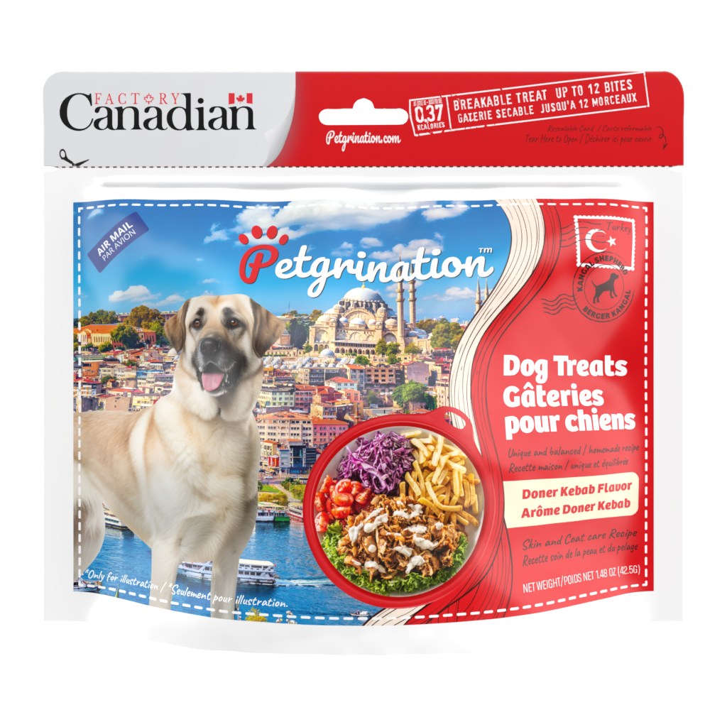 Crunchy Dog Treats Skin & Coat Care Recipe, Turkish Doner Kebab Flavor, 1.48 oz (Pack of 1)