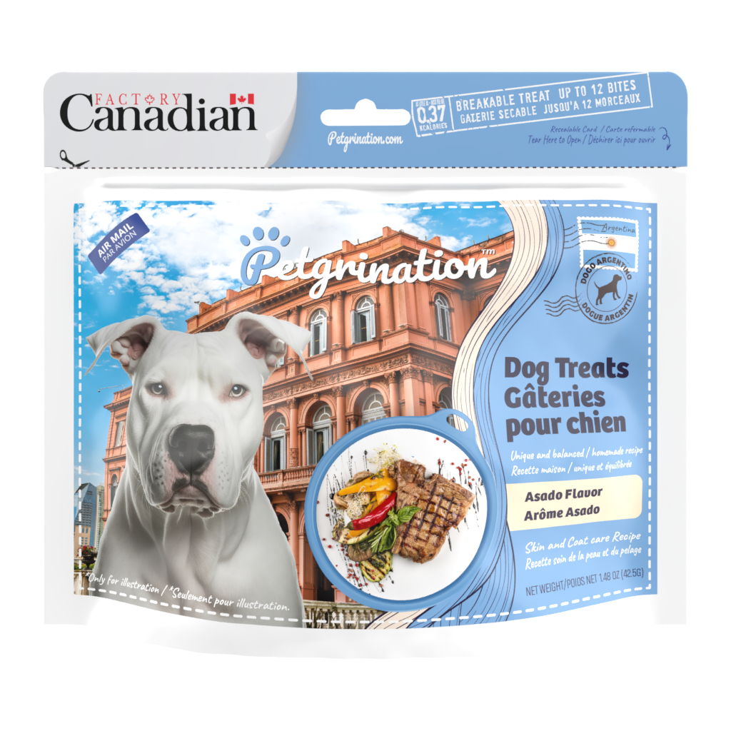 Crunchy Dog Treats Skin & Coat Care Recipe, Argentinian Asado Flavor, 1.48 oz (Pack of 1)