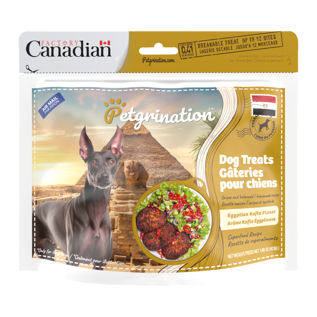 Crunchy Dog Treats Superfood Recipe, Egyptian Kofta Flavor, 1.48 oz (Pack of 1)